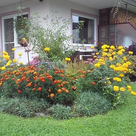 Haus Sonne 아파트