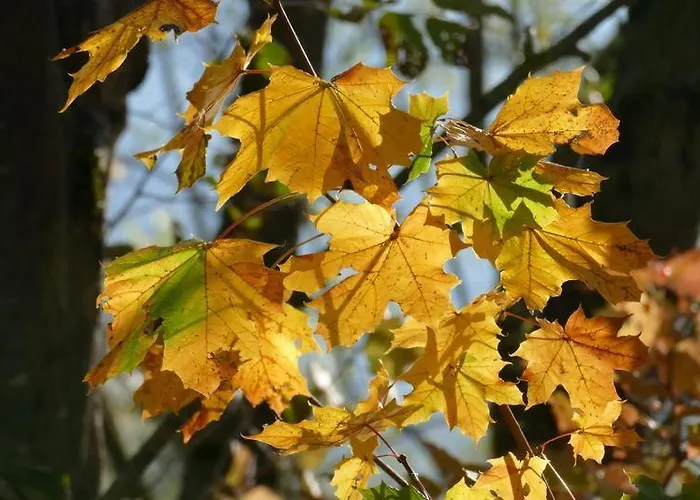 Apartmán Haus Sonne *